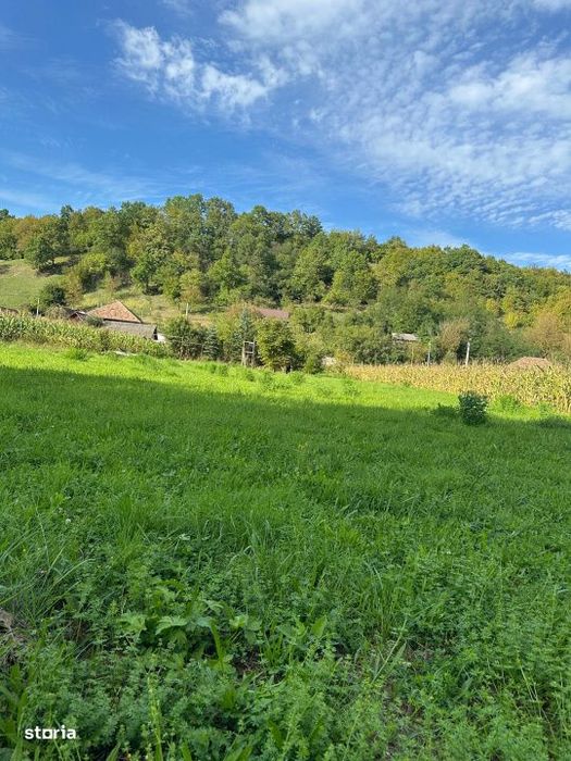 Teren intravilan 2.200 mp, zona linistita, aproape de padure – Dej