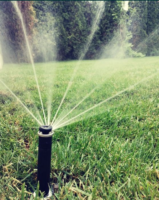 Irigații • Gazon ruloui • Platări tuia• Tuns iarba