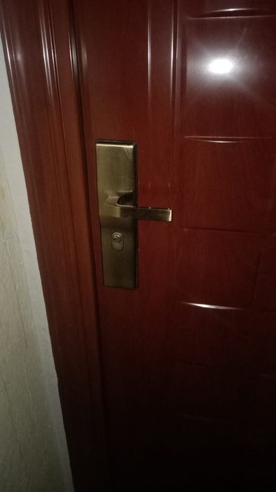 Reparatii uși metalice, termopan  și de interior