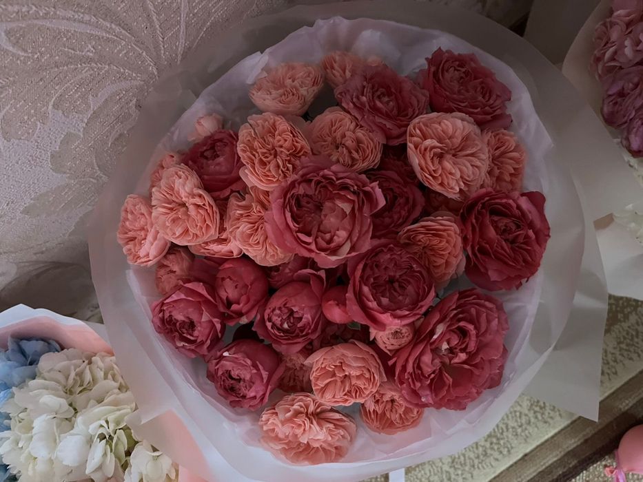 Гулдер сатылады свежый кешке келген