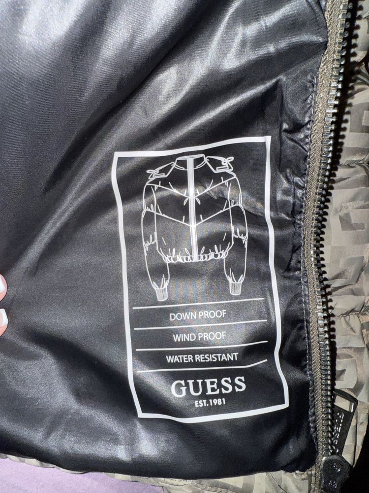 Есенно Яке Guess