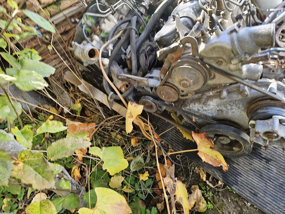 Motoare aro peugeot.