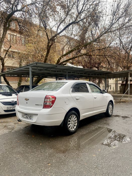 Cobalt 2019 Toza/Metan