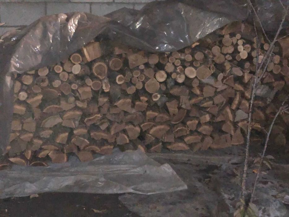 Дрова карагач — сухие и сырые, разной длины