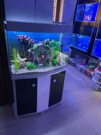 New Akvarium 150-200 litr