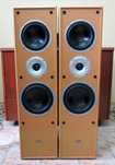 AEG lb4704 тонколони