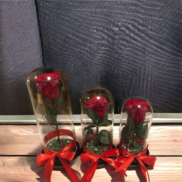 Trandafir criogenat ideal pt cadou