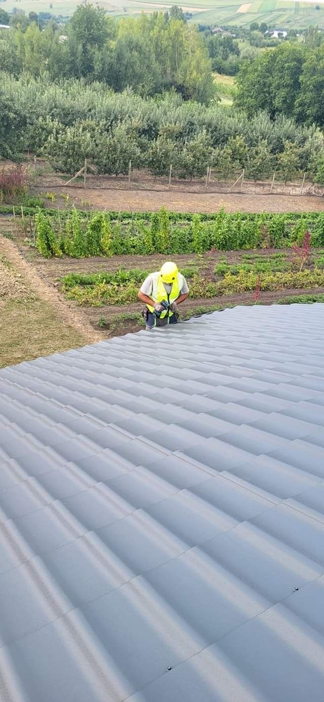 EXECUTAM URMĂTOARELE SERVICI

1. Reparatii Acoperis,
2. Montaj orice t