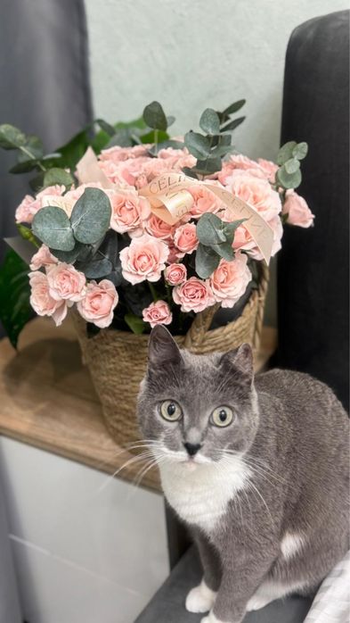 Все виды профессионального массажа