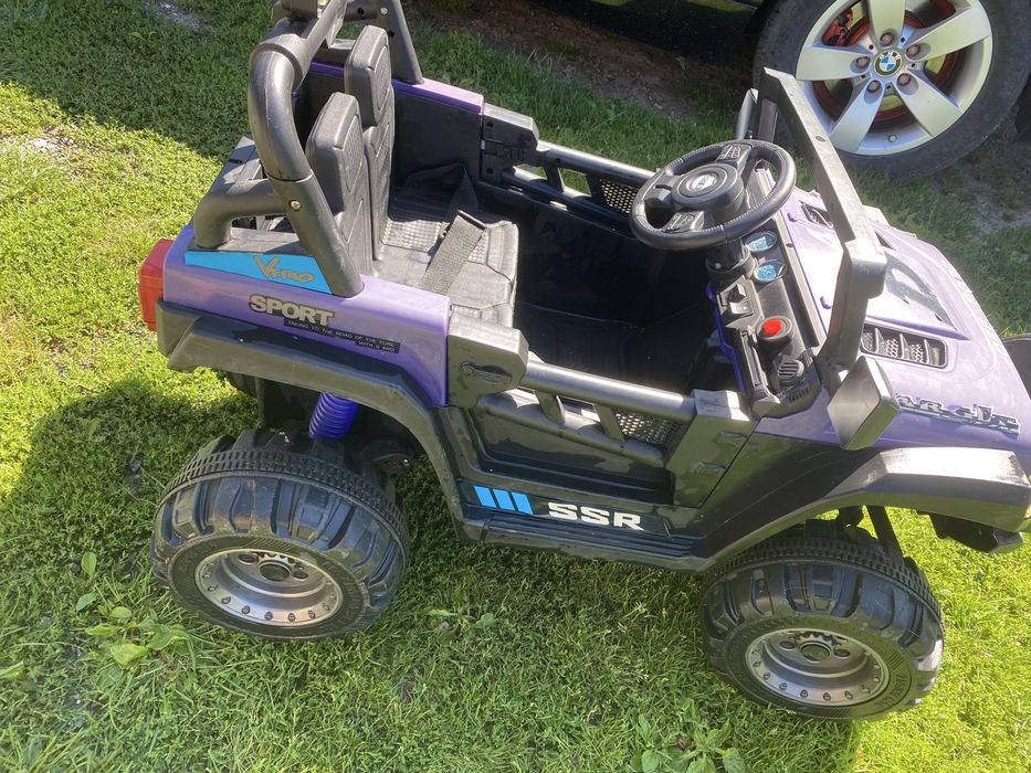 Vand masinuta electrica