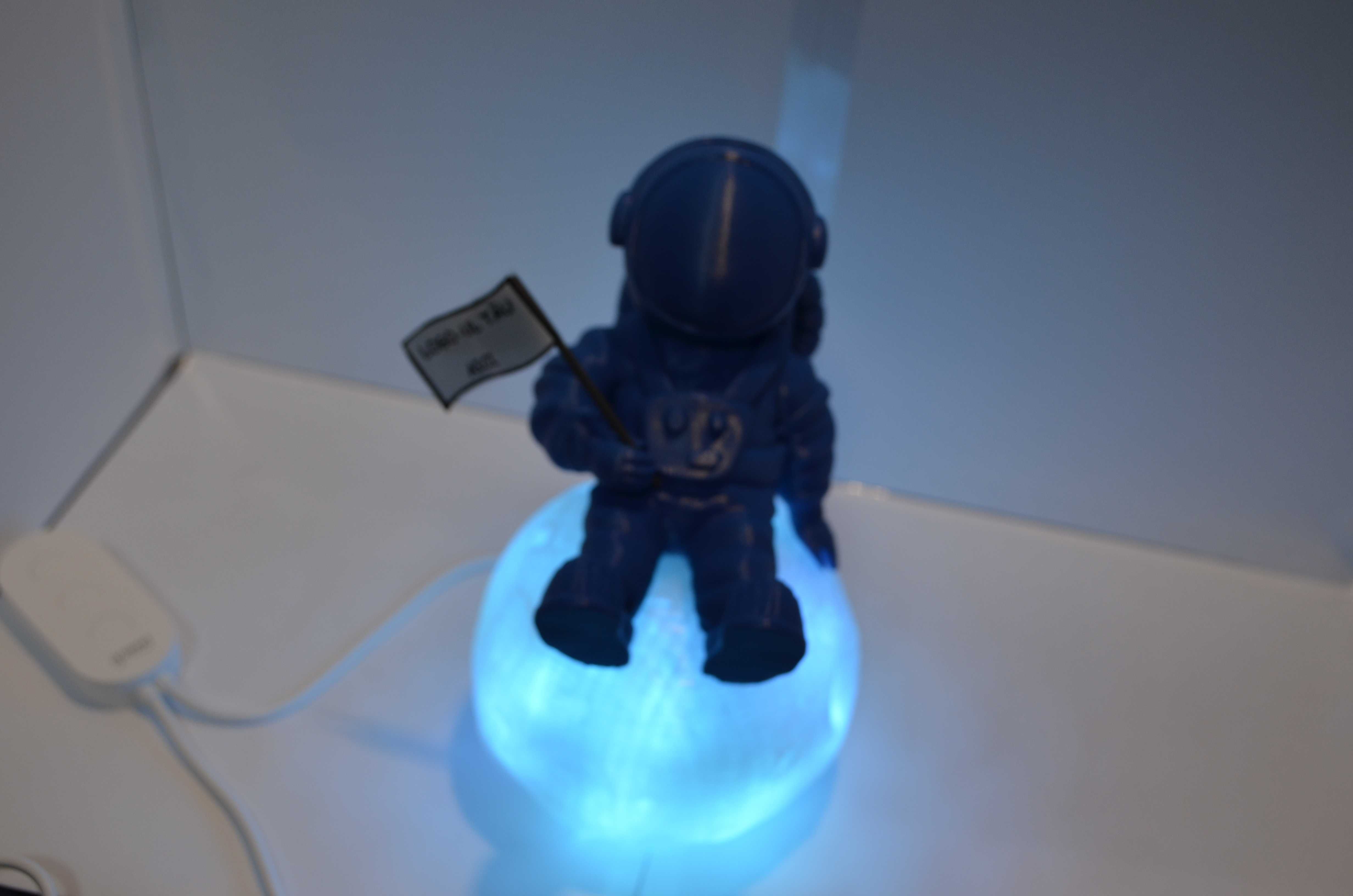 Astronaut 3d Print Smart - Epli P1