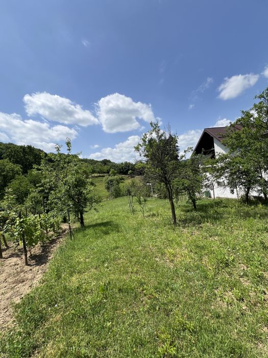 teren de vanzare stefanesti valea mare