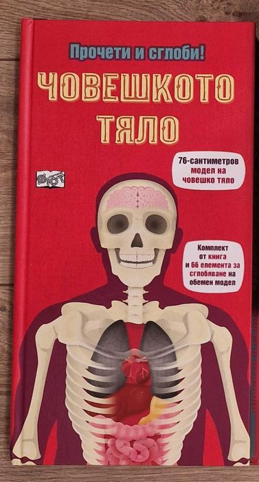 Прочети и сглоби!: Човешкото тяло нс Фют