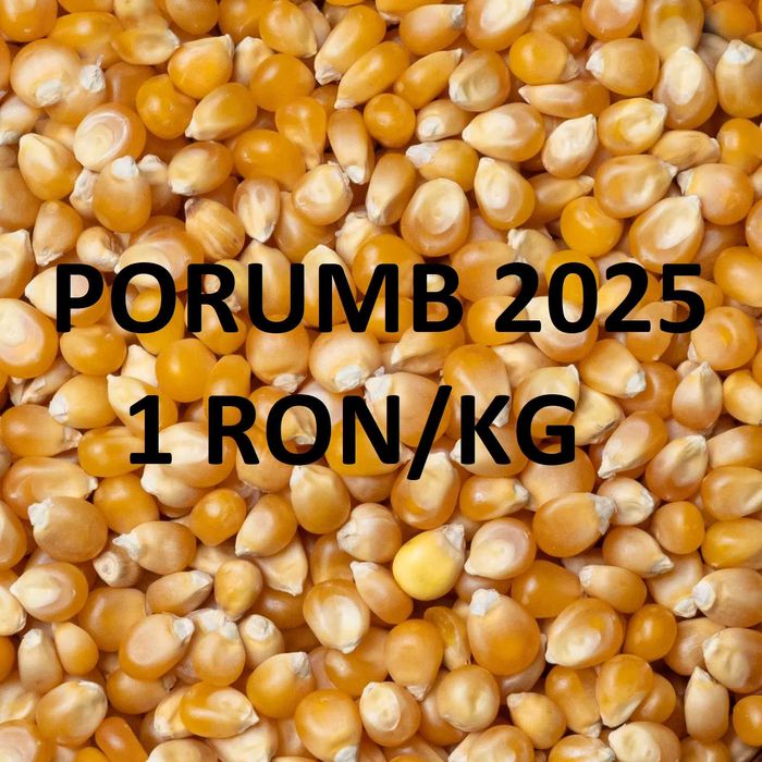 Vand PORUMB recolta 2025