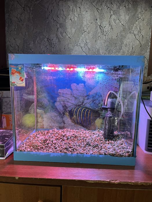 Аквариум на 18-20литров