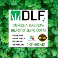 Семена клевера белого DLF (Дания)