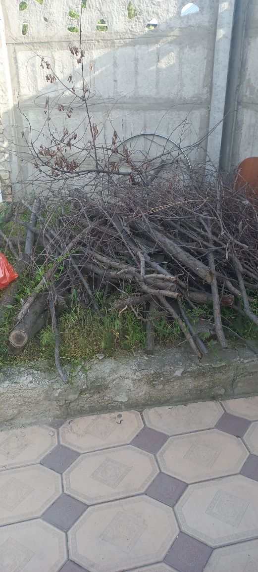 Отдам дрова даром