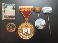 Lot 7 insigne românești și străine