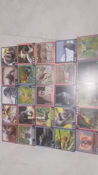 Pachet 25 de carduri educationale cu animale