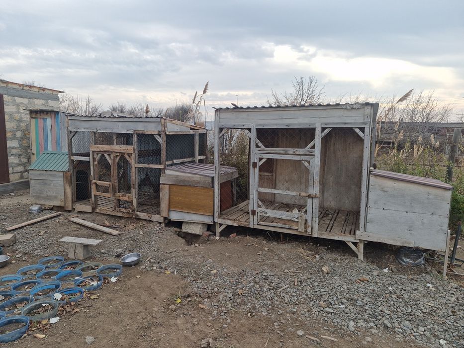 Клетки для собак