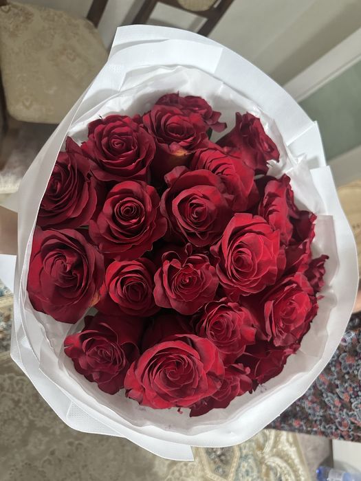 Цветы астана писать на вацап