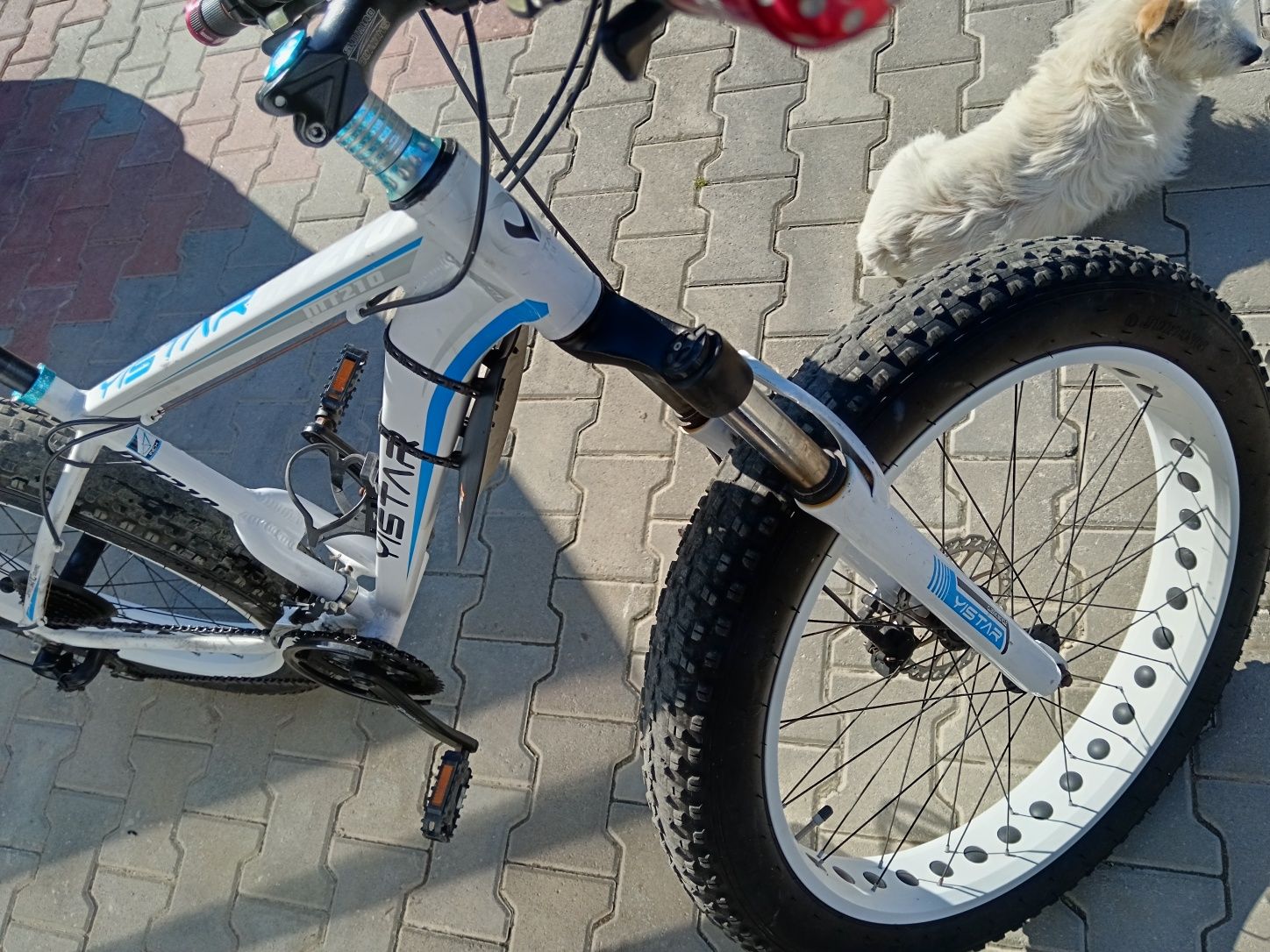 Bicicleta YSTAR MT 210