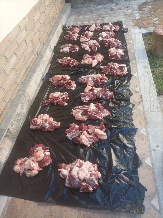 Qassob servis aqiqa va marosimlar uchun qoylar