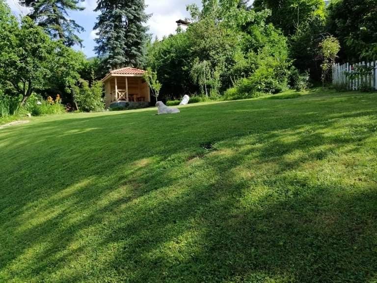 Озеленяване и Професионална Поддръжка на Вашия Двор!