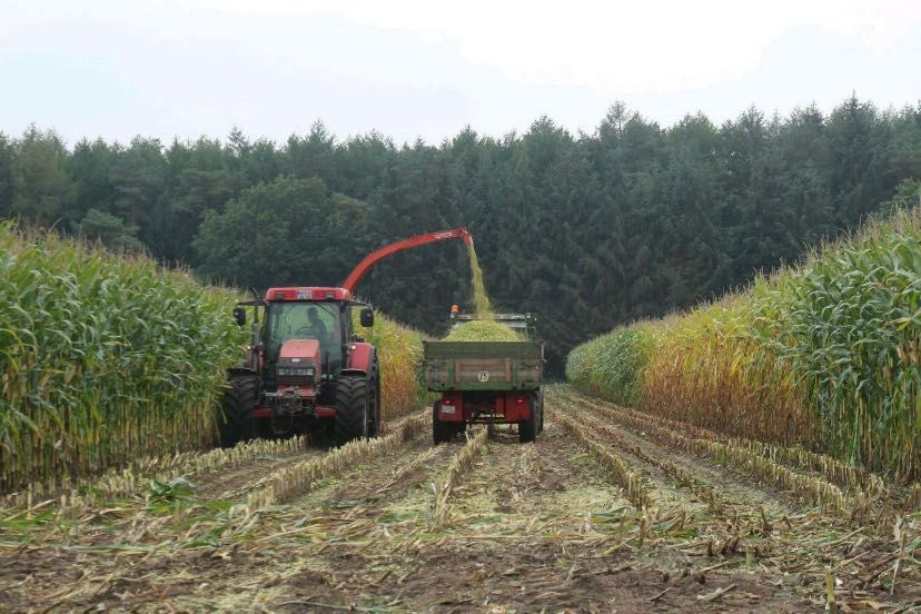 Kemper Makka uradigan Silos комбайн Claas case Belarus tortadi