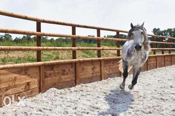 Manejuri pentru cai , padocuri , cavaletti , rotative