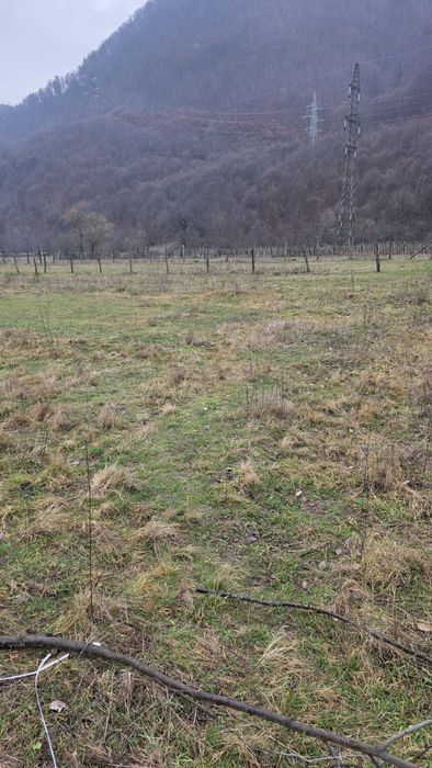 Vand teren intravilan in Pascoaia cu acces din DN  7 A