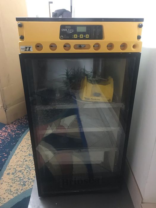 Incubator brinsea ovaeasy 2