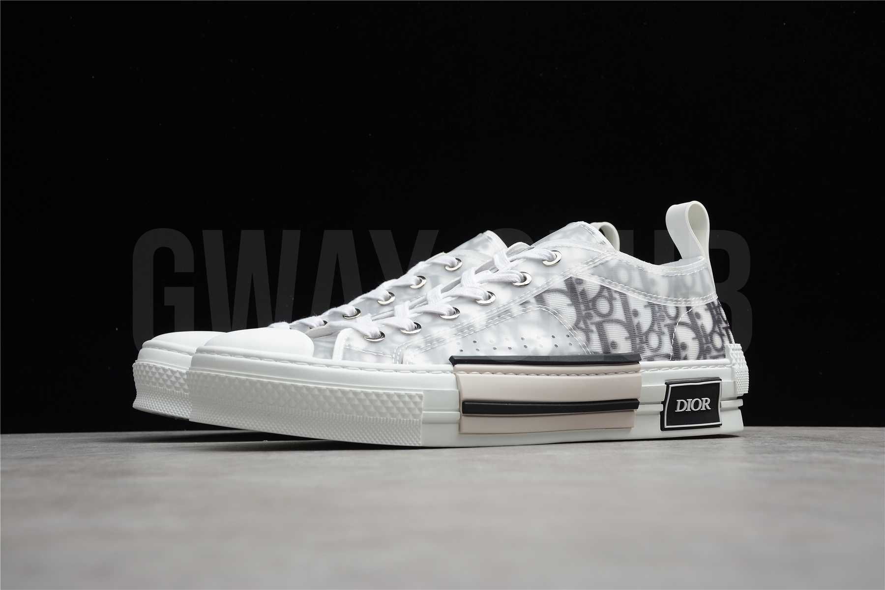 Dior B23 Low Top