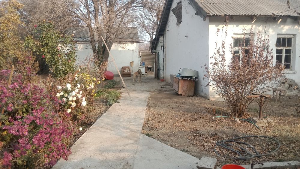 Две объединенные квартиры барачного типа.