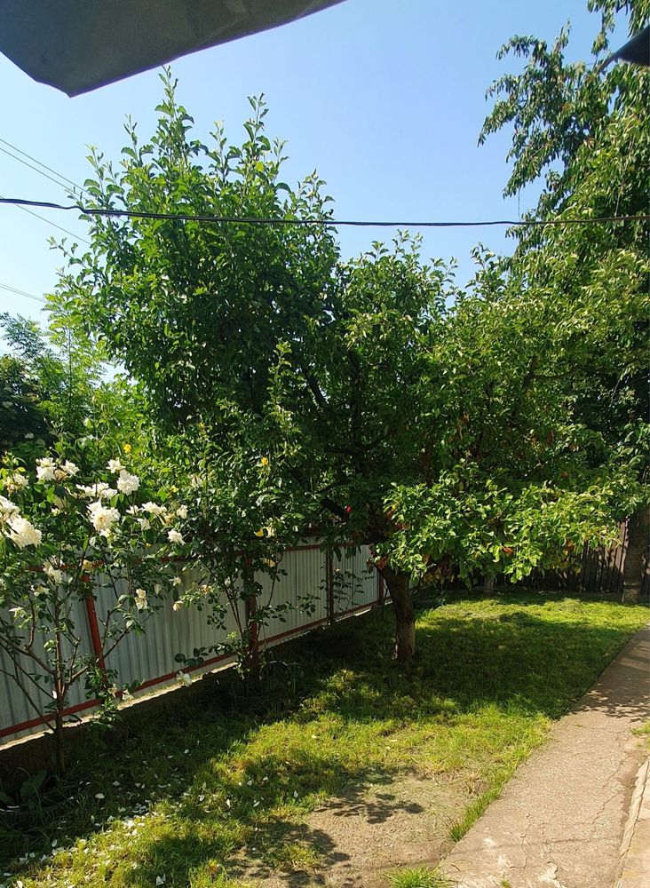 Vand casa in Trusesti