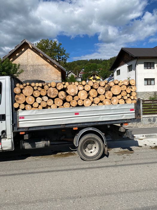 Vând lemne pentru foc fag.