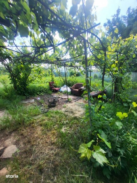 Teren Electricienilor Bacau