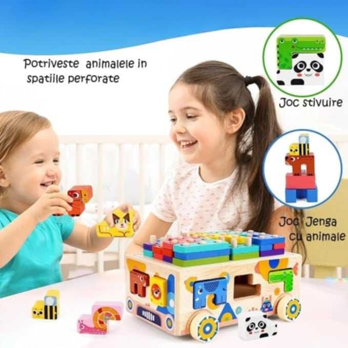 Masinute lemn forme si sortator