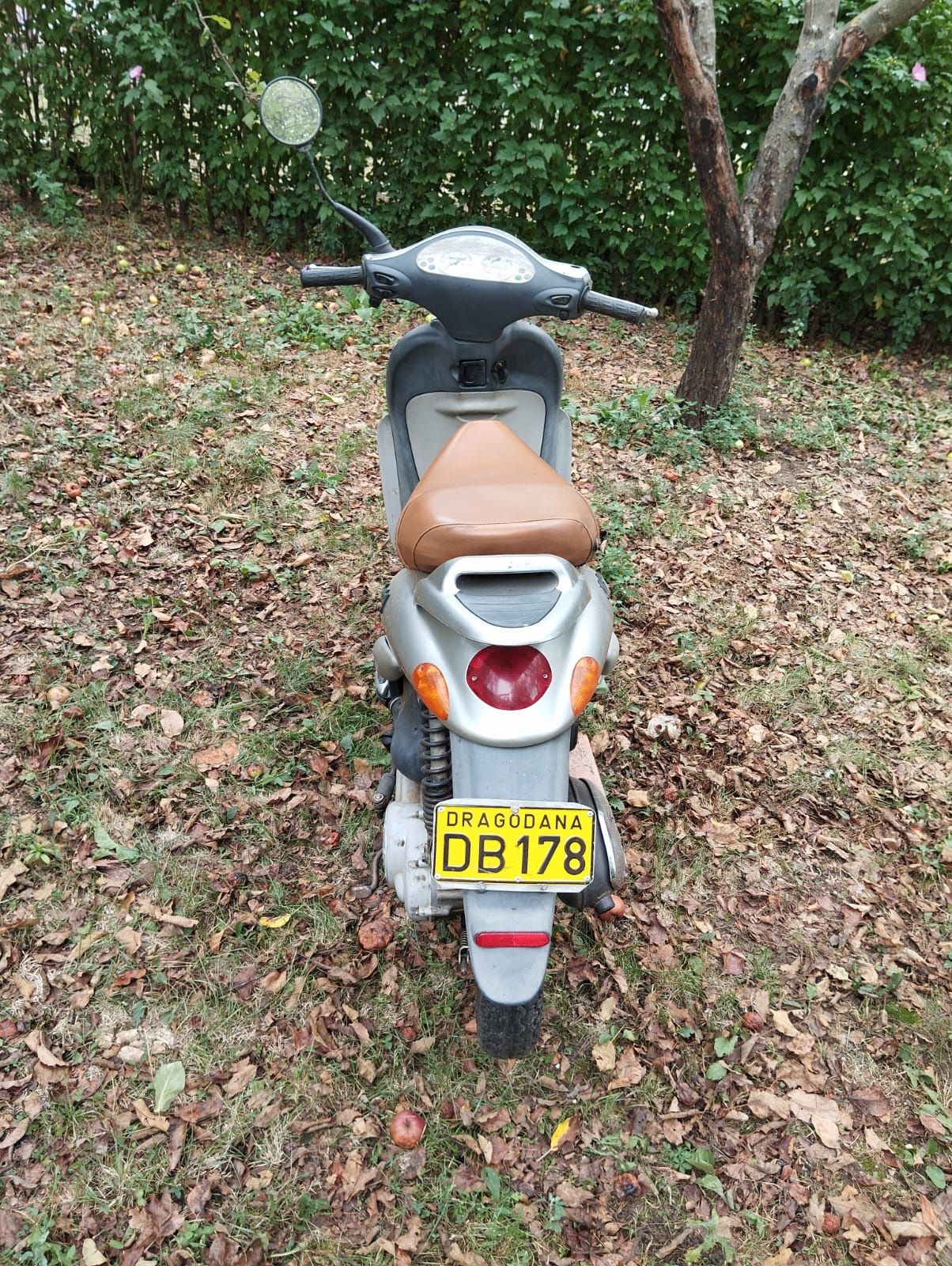 Moped Piagio Liberti