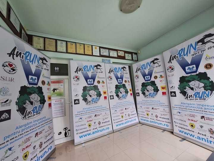 Roll-up banner – ideal pt evenimente si prezentari | Montaj 2 min