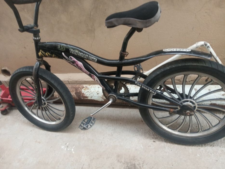 Сатылады журып тур 7-10жас бадаларга адемы келеды