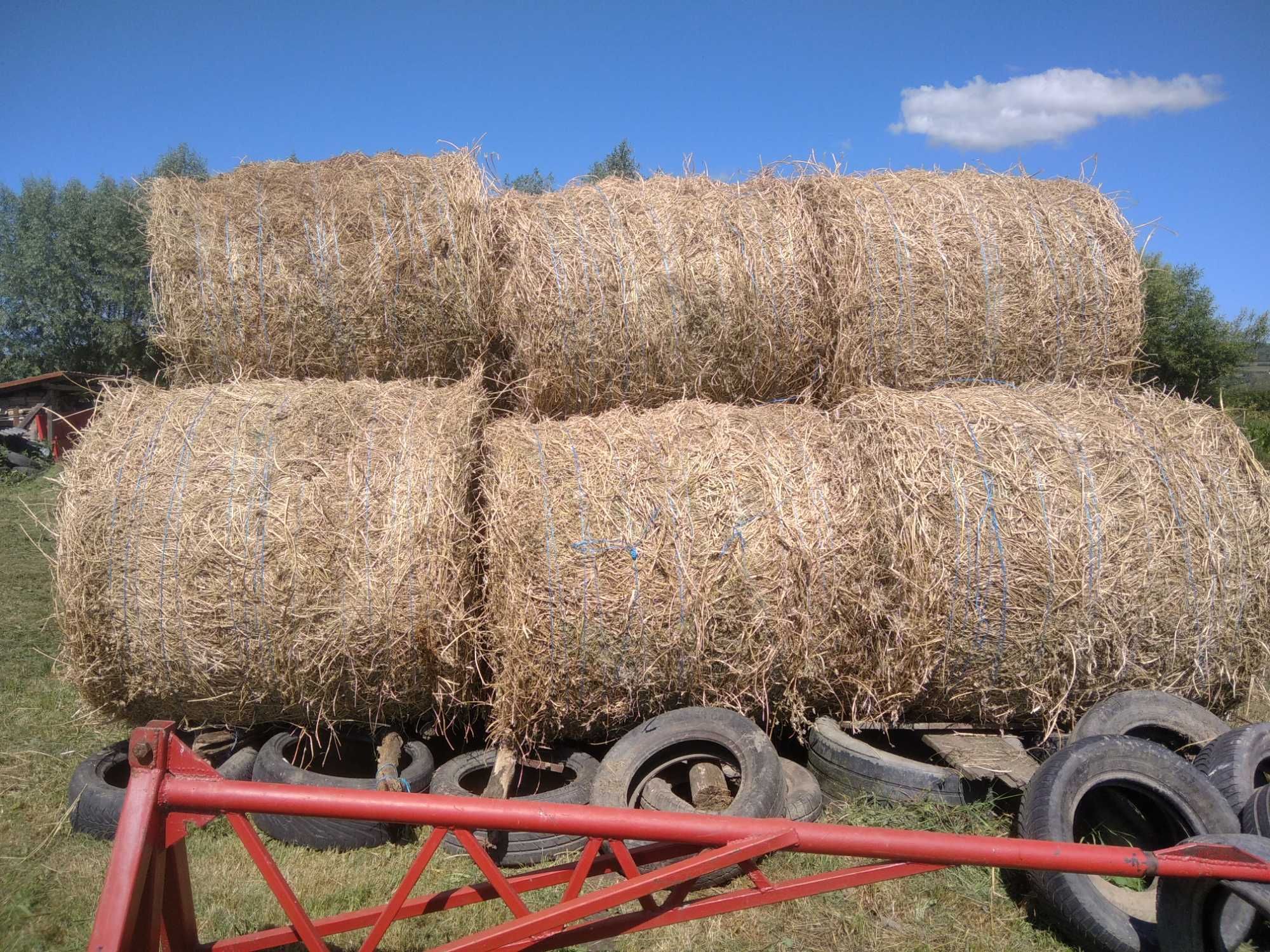 Baloți   Lucernă