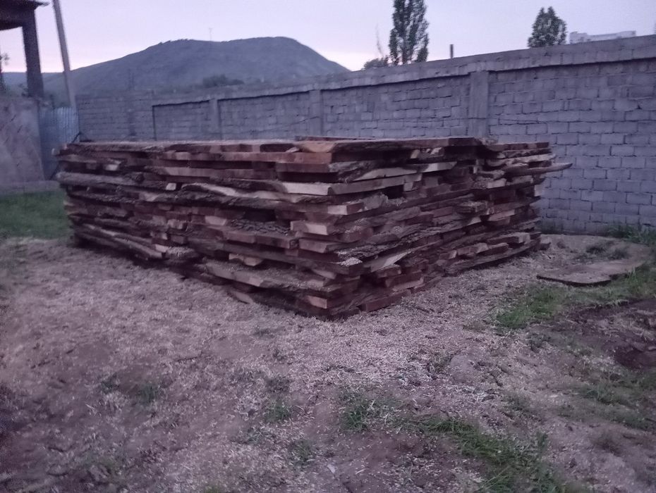 Орех отборный сухой 6-8% влажности