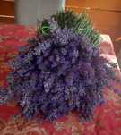 Vând Buchete Lavanda 50 lei Buchetul