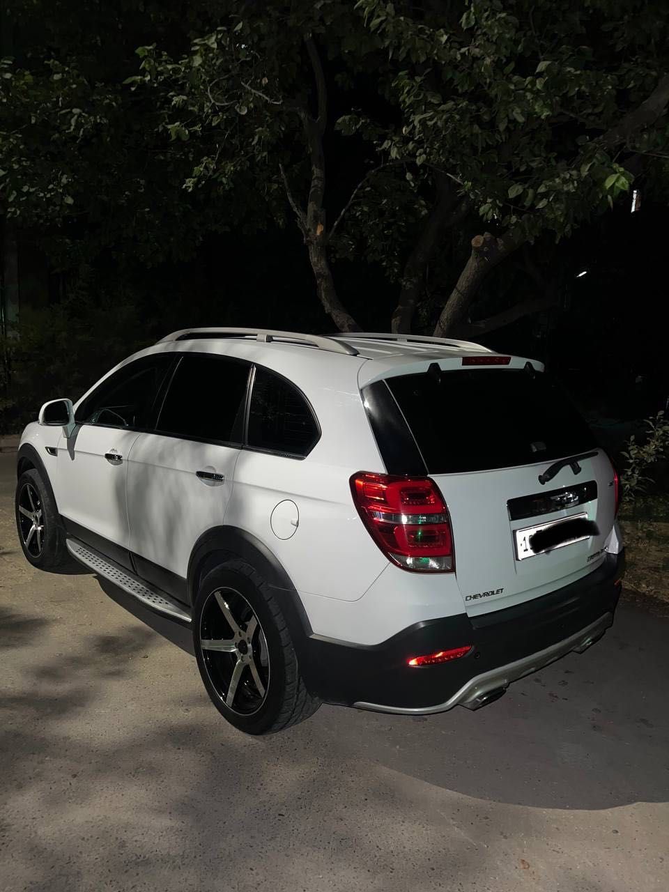 CaptivA 2013 metan