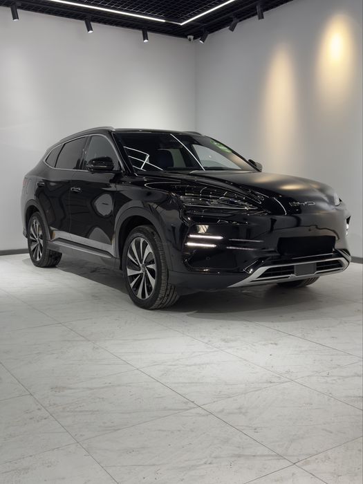 Byd champion Ev 2023