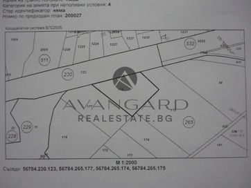 Avangard Real Estate
