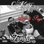 Caut albumul o mare familie si de 10 ani tot in familie pe format cd