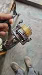 Tica scepter GX6000