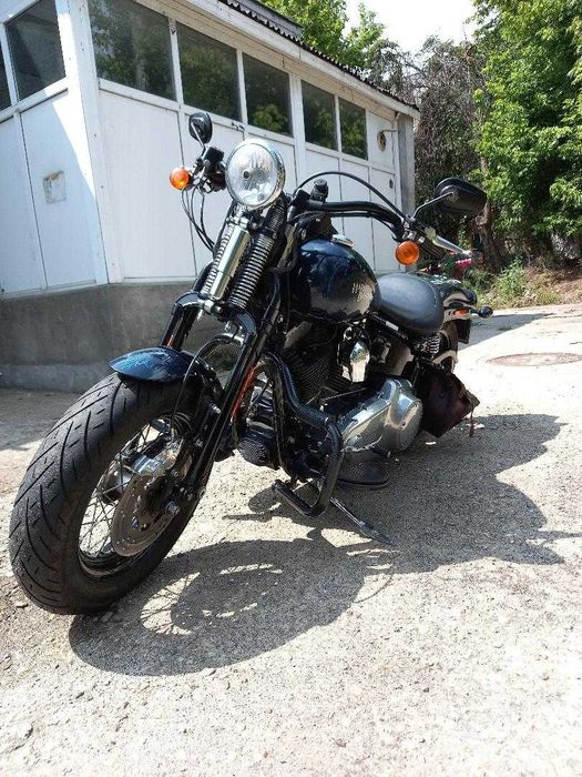 Harley Davidson Cross Bones